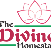 The Divine Homestay